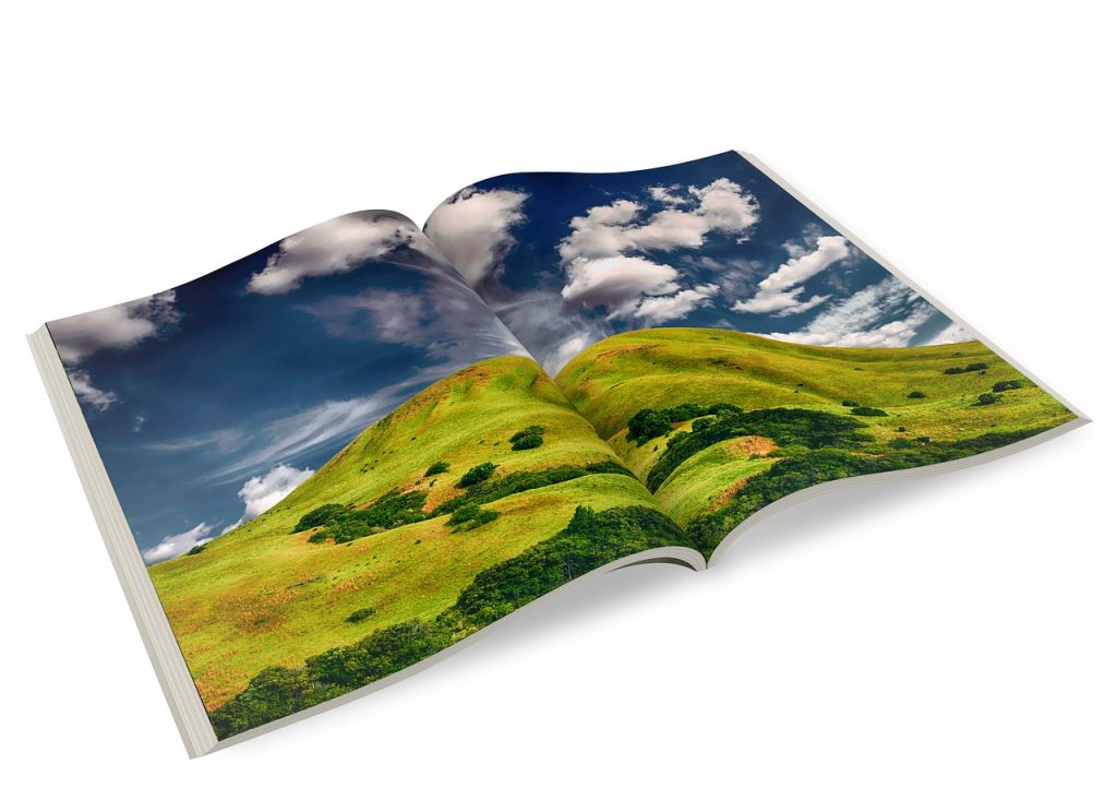 Les formats de livres photo sont également très variés ; plusieurs sites web proposent jusqu'à dix format différents allant du mini-livre au grand album en passant par le classeur et le carnet. Les formats varient également selon les fournisseurs; certains peuvent proposer des formats spéciaux comme le triangle ou le scintillant.